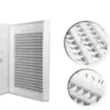10D Wimpernfächer XXL Box- 480 Fächer