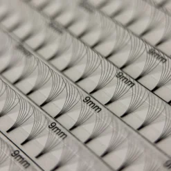 6D Fertige Fächer- 2000 Fans